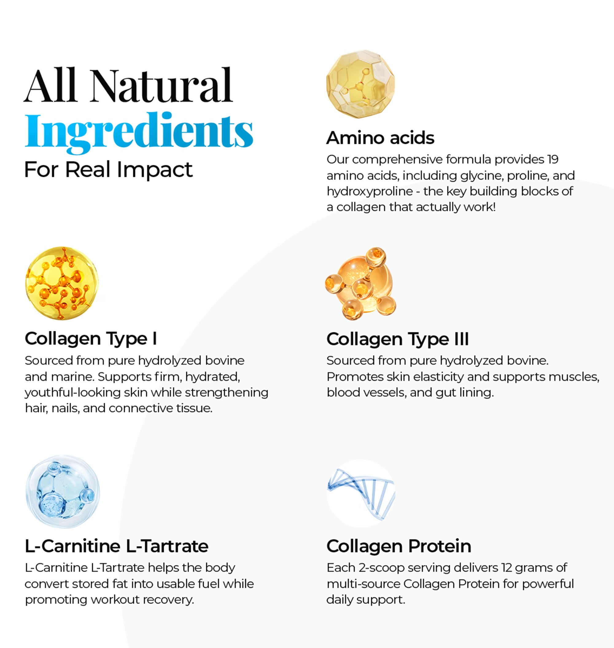 Multi Collagen Peptides Powder Types I & III - Bovine & Marine + L-Carnitine - 30 Servings