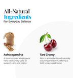 Winter Cherry – Ashwagandha & Tart Cherry Smoothie Enhancer – Supports Wellness – 30 Servings